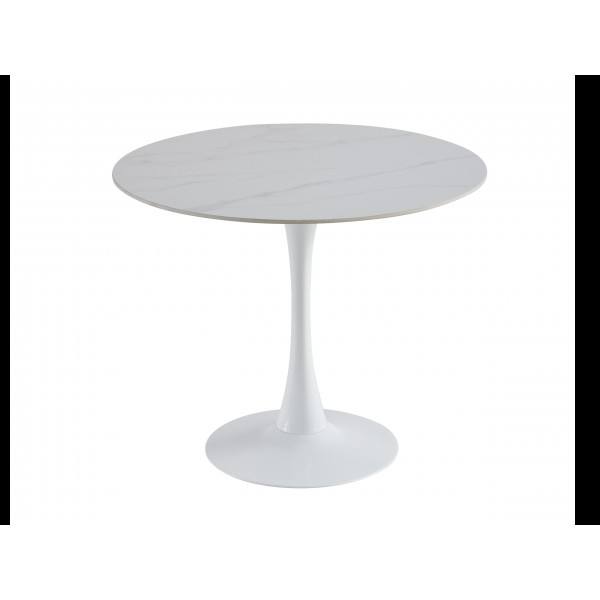 Стіл обідній T-325 каса вайт + білий