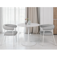 Стіл обідній T-325 каса вайт + білий